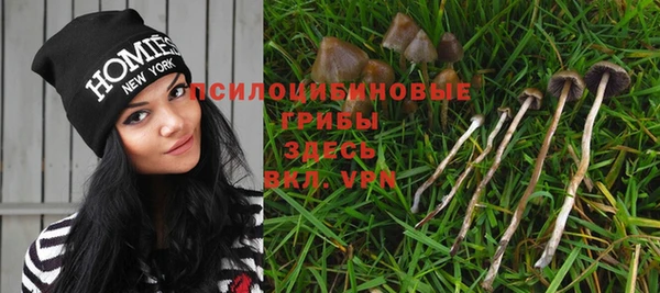 МДПВ Балахна