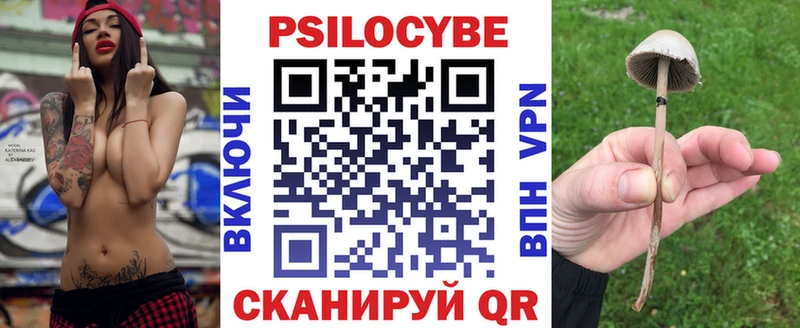 Галлюциногенные грибы Psilocybine cubensis  Купить где  Биробиджан 